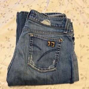 Joes Jeans, VINTAGE